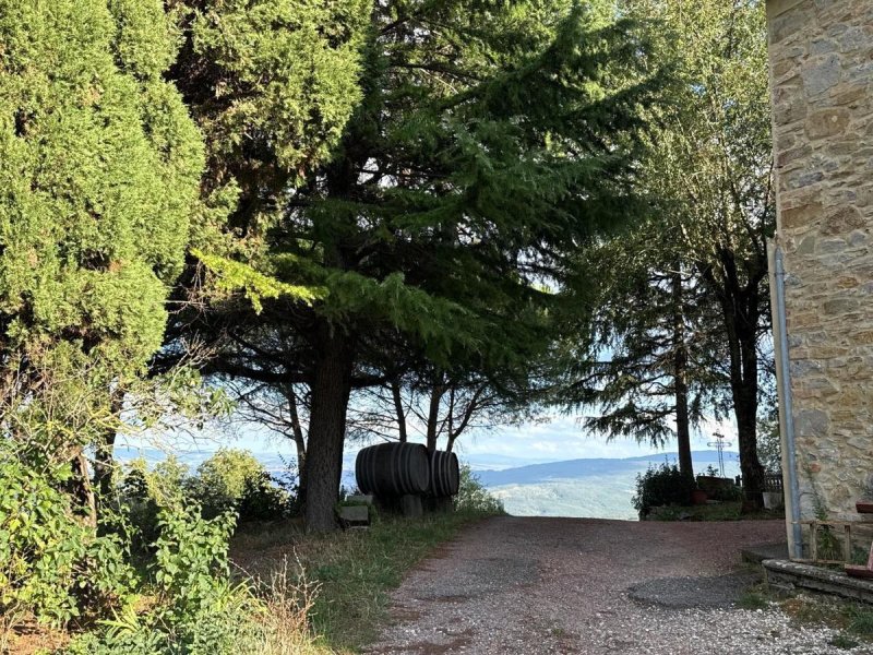 Farmhouse in Chianni