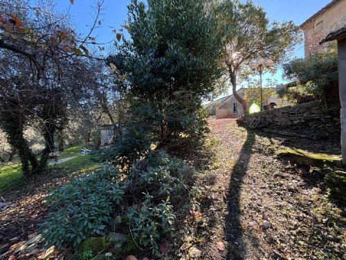 Maison à Terricciola