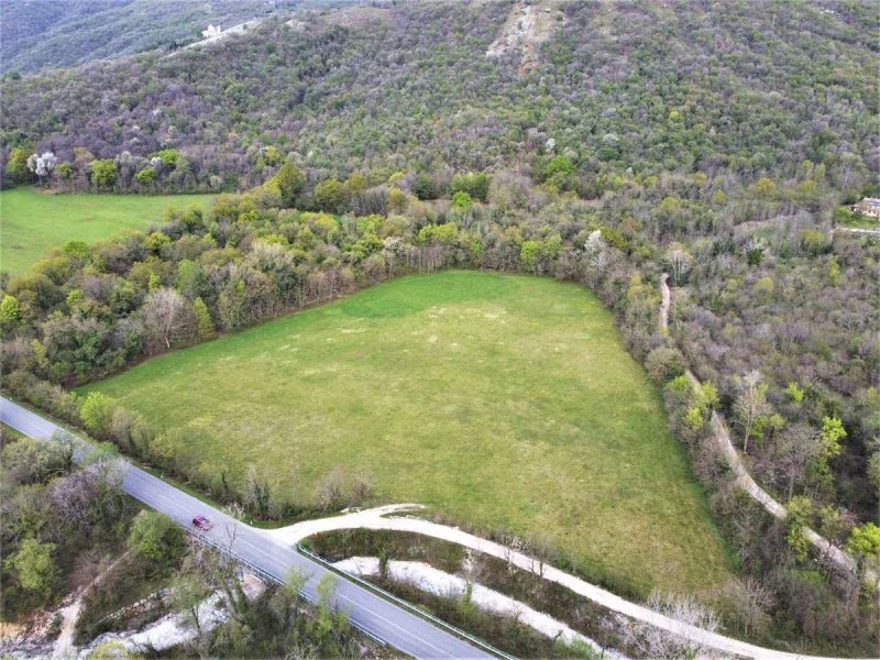 Terreno agrícola em Aviano