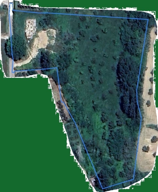 Отдельно стоящий дом в Амелиа