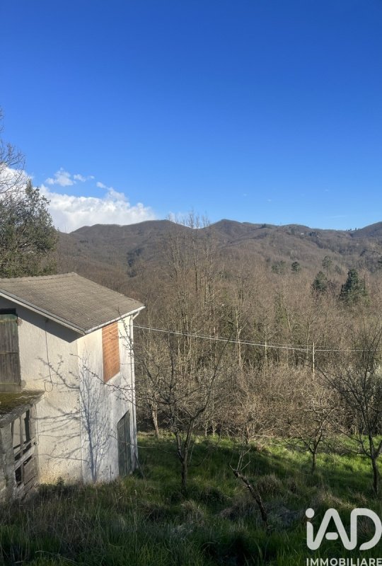 Особняк в Майссана