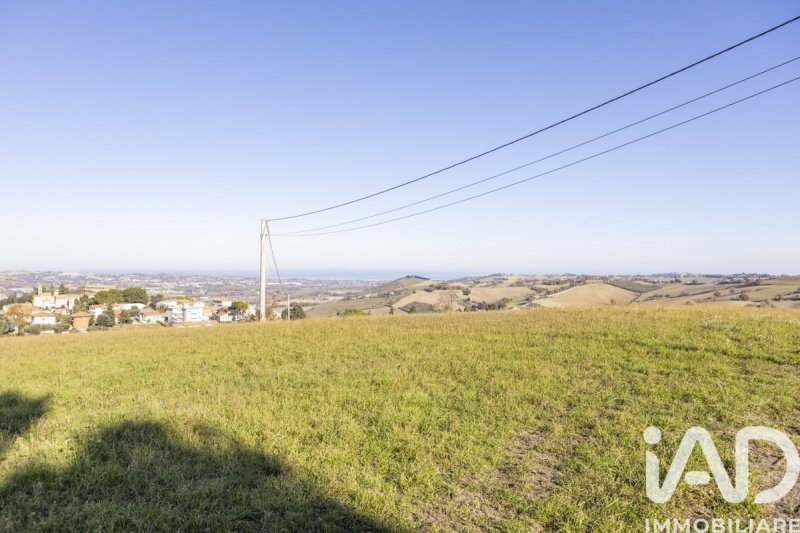 Terreno agrícola em Trecastelli