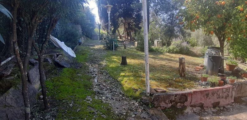 Jordbruksmark i Livorno