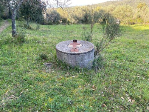 Сельскохозяйственный участок в Ливорно