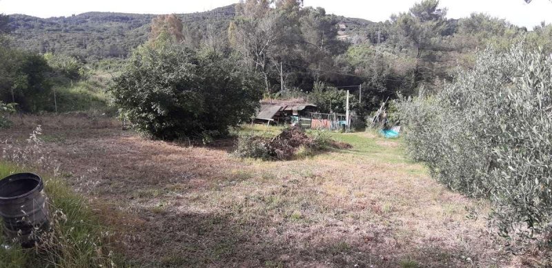 Terrain agricole à Livourne