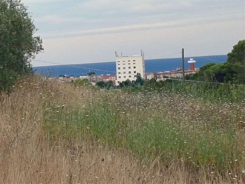 Terreno agrícola em Livorno