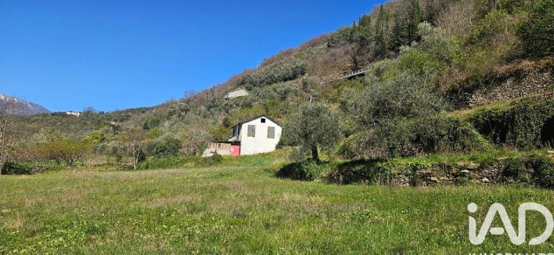 Maison individuelle à Pieve di Teco