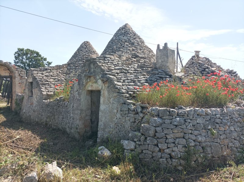 Trulli in Locorotondo