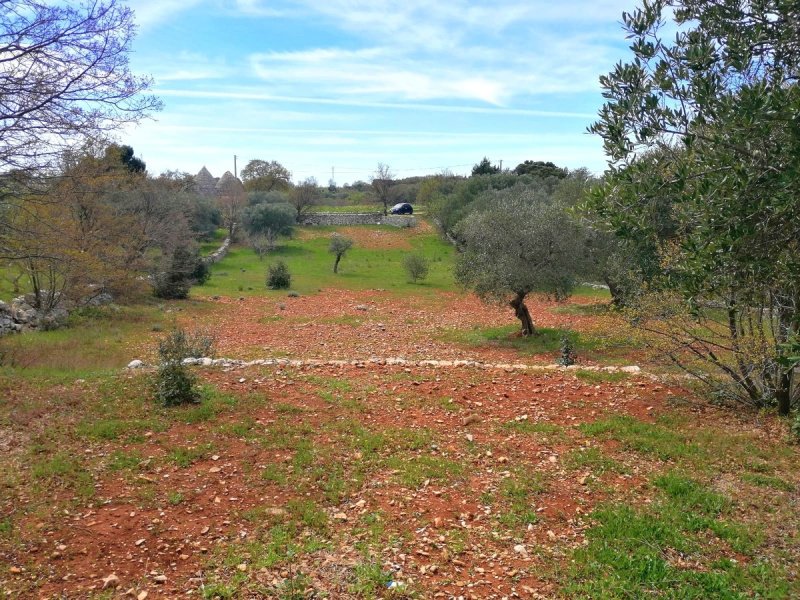 Trulli in Locorotondo