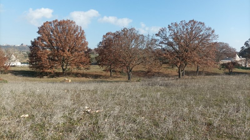 Terreno en Cisternino