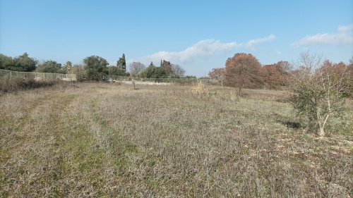 Terreno en Cisternino