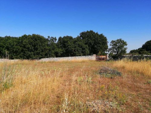 Terreno a Cisternino