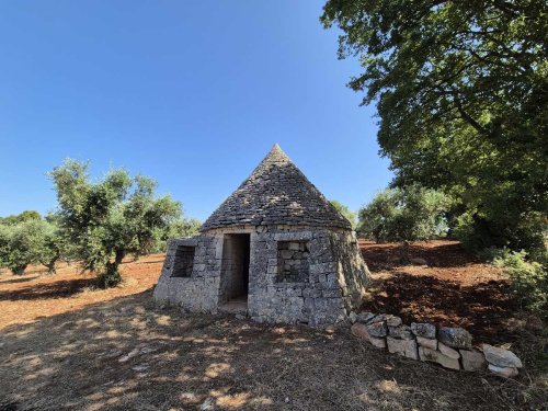 洛科罗通多特魯洛