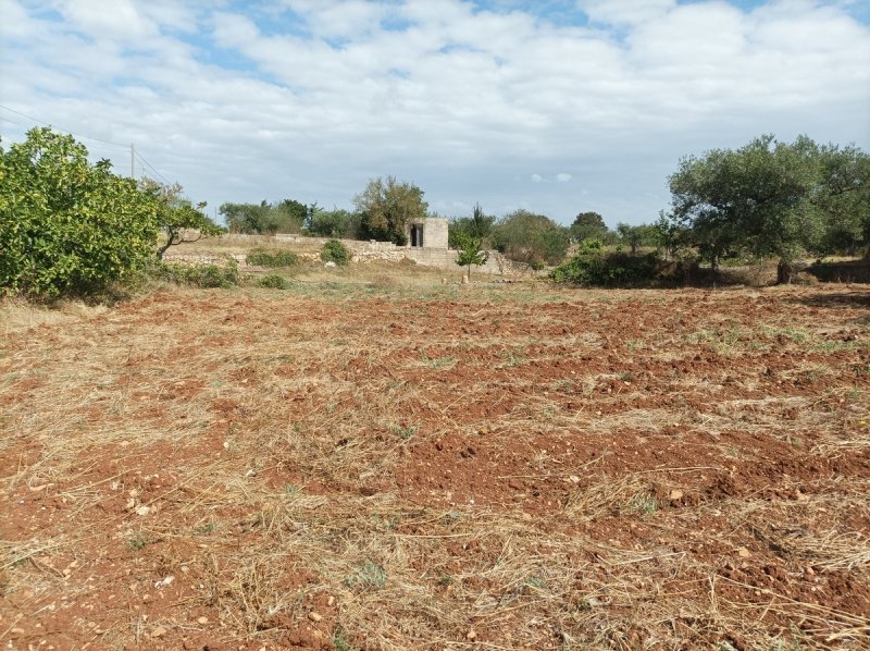 Casa Trullo em Alberobello