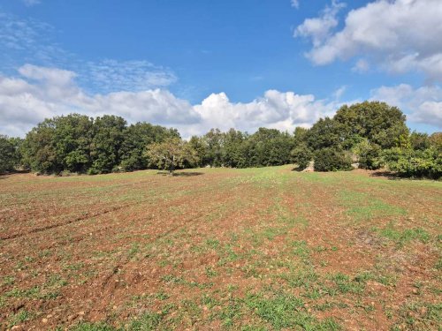 Byggtomt i Alberobello