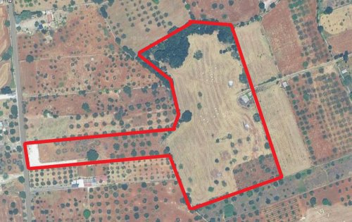 阿尔贝罗贝洛建筑用地