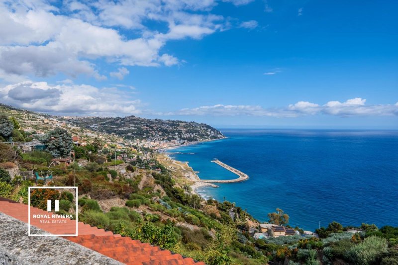 博尔迪盖拉独栋房屋