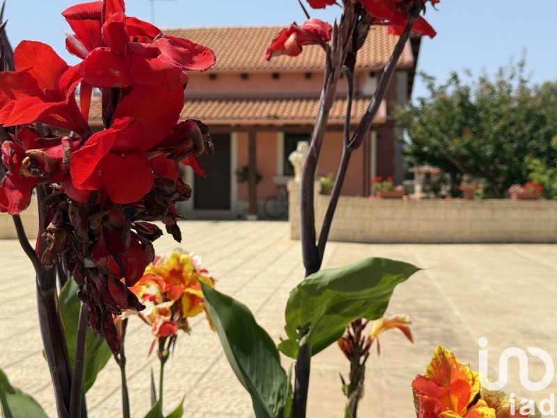 Вилла в Авола