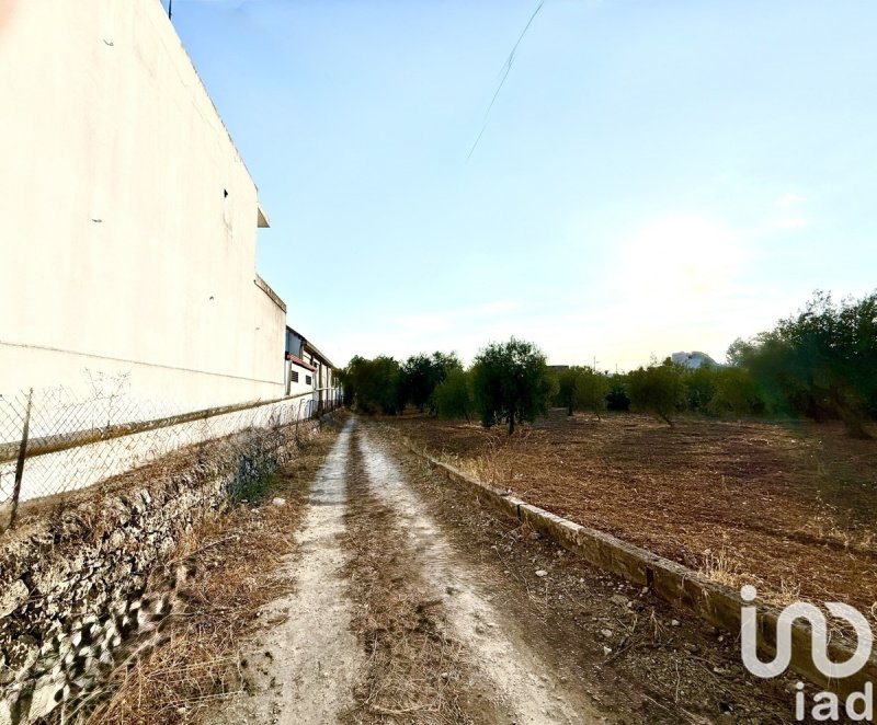 Agricultural land in Noto