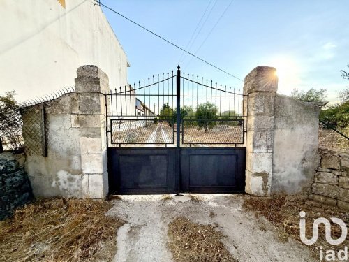 Agricultural land in Noto