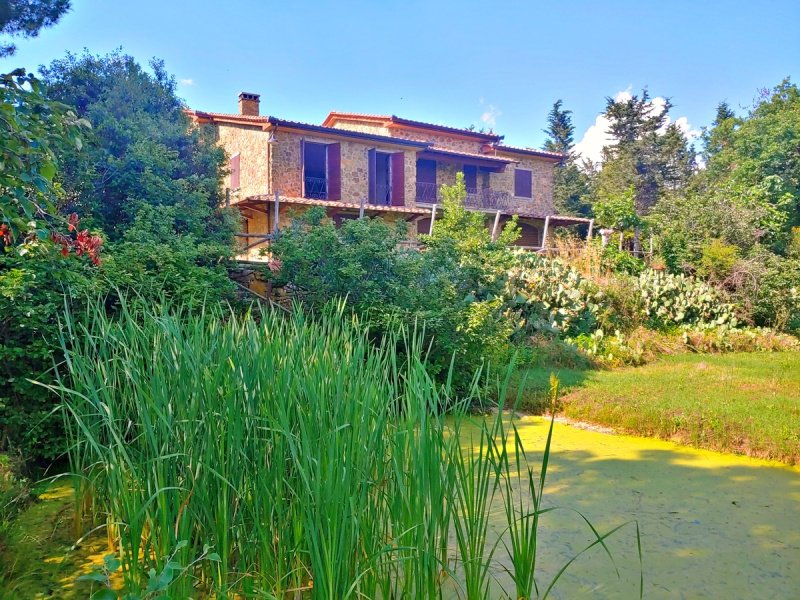 Maison de campagne à Sinalunga