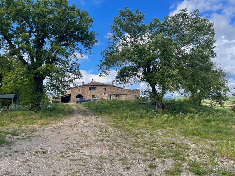 Bauernhaus in Montalcino