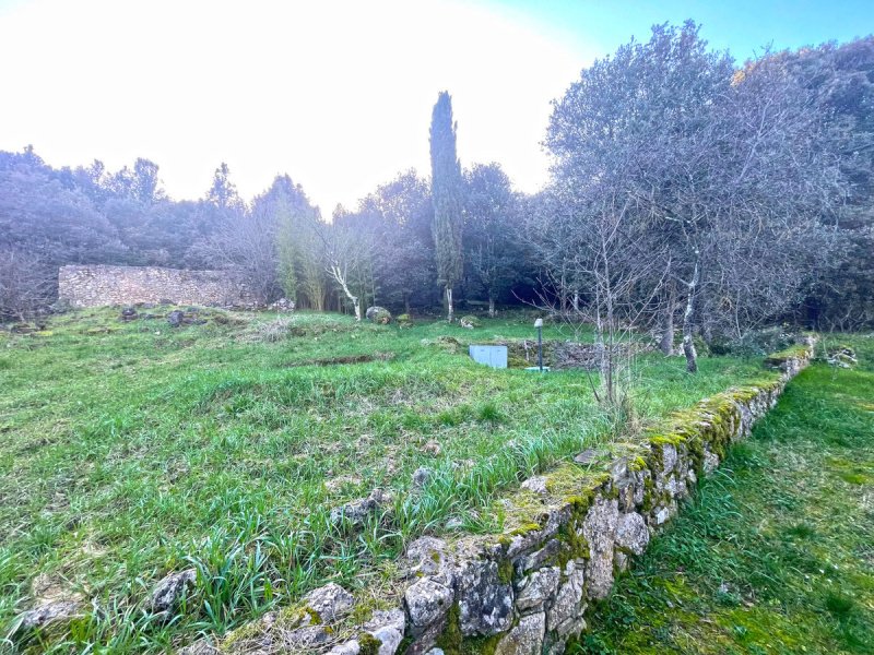 Casa semi-independiente en Monteriggioni