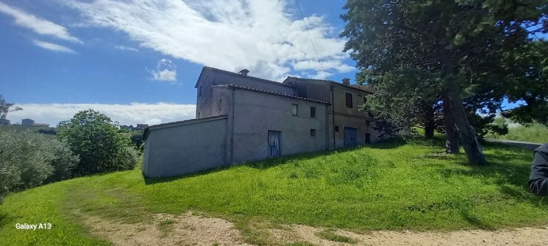 Cielo/Tierra en Arcevia