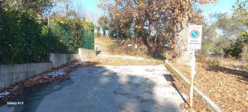 塞拉德孔蒂乡间房屋