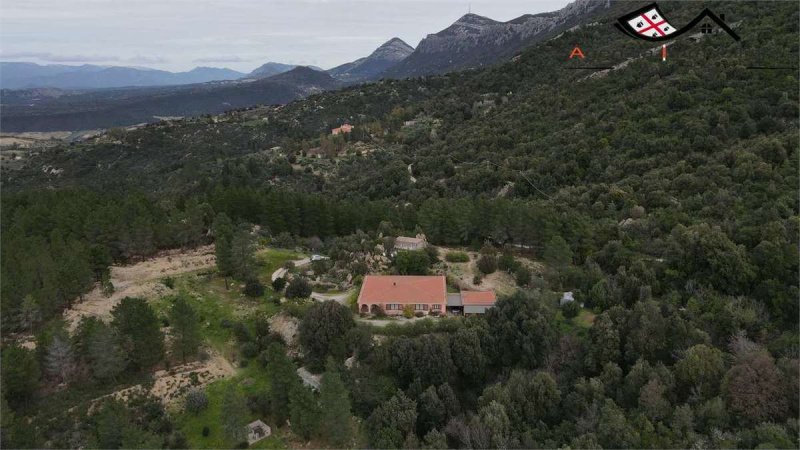 Maison individuelle à Dorgali