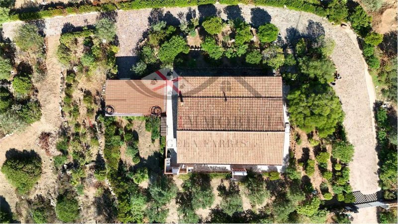 Villa in Olbia