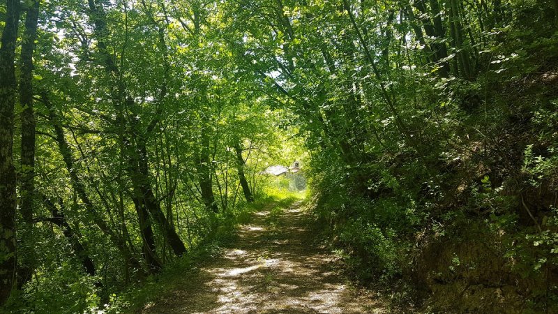Maison de campagne à Sant'Angelo in Vado