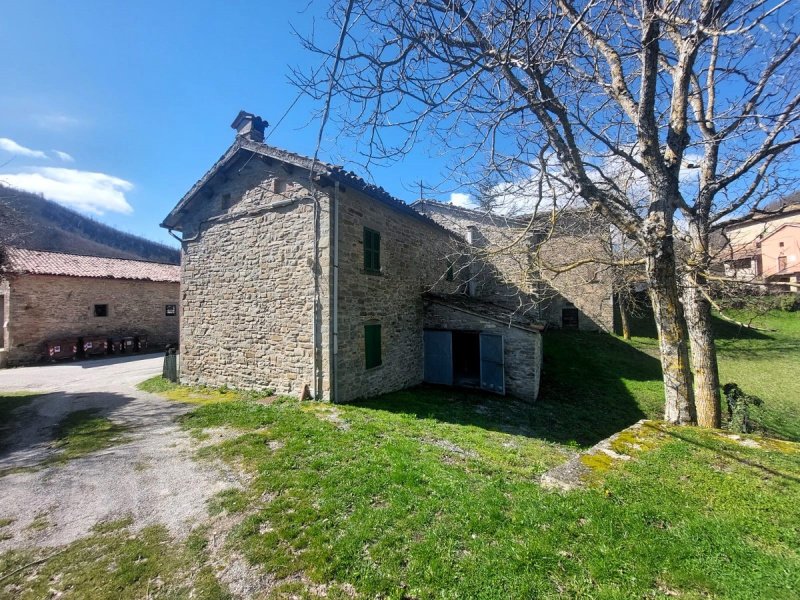 帕切镇乡间房屋