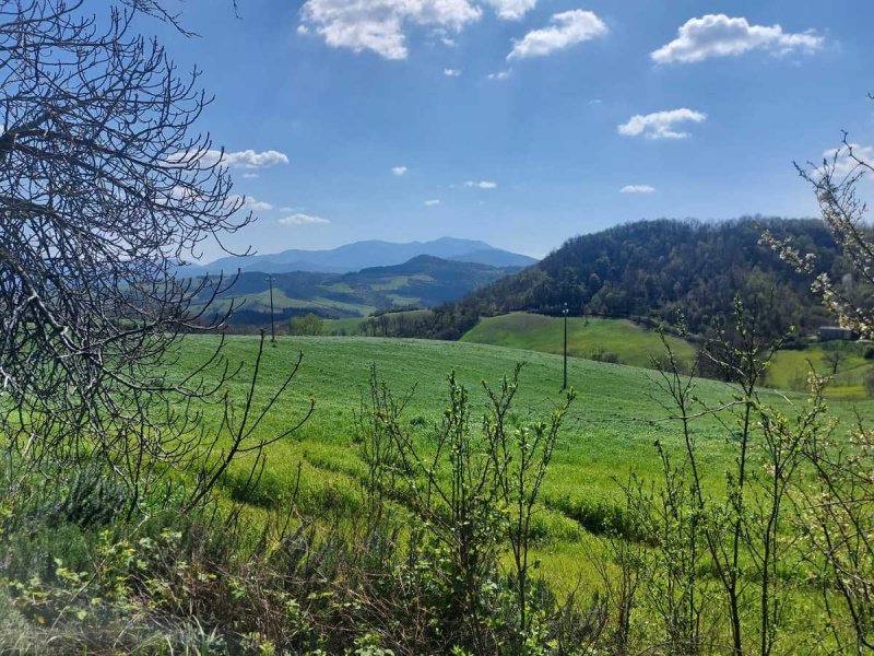 Hus på landet i Sant'Angelo in Vado