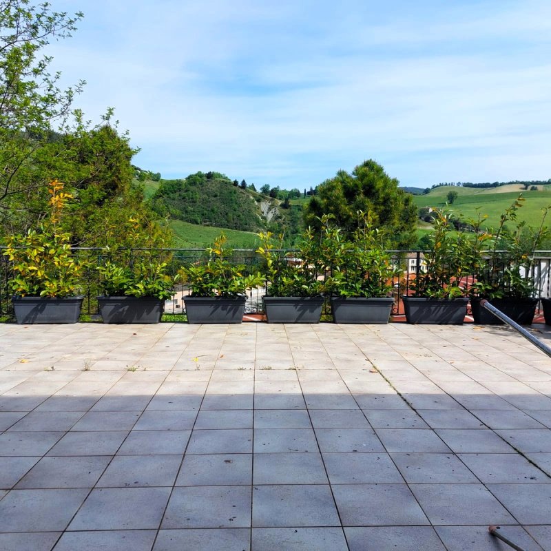 Appartement individuel à Piandimeleto