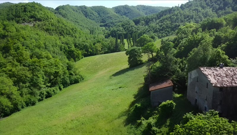 Ферма в Меркателло-суль-Метауро