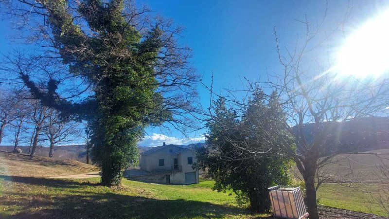 Boerenbedrijf in Mercatello sul Metauro