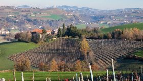 Agrotourisme à Dogliani