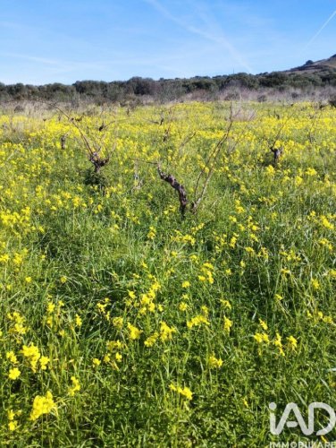 索尔索建筑用地