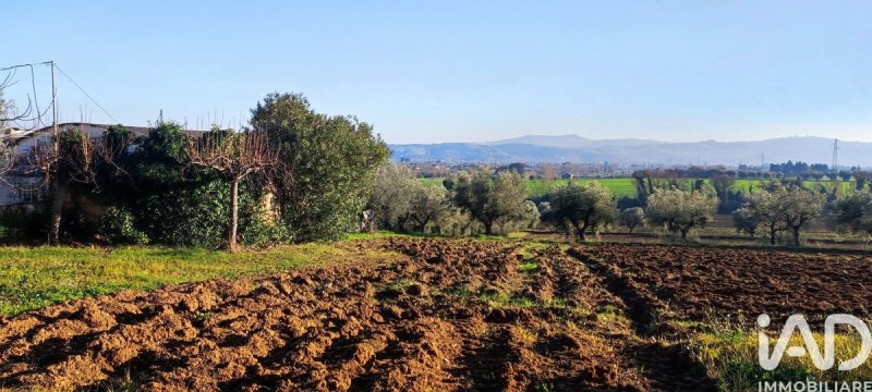 Terreno agrícola en Giulianova