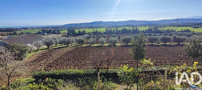 Landbouwgrond in Giulianova