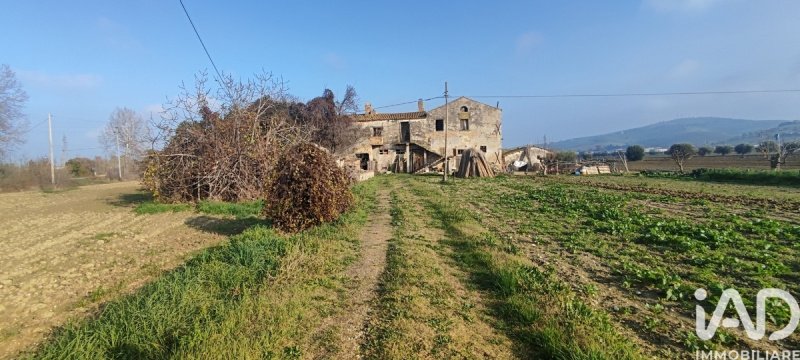 Terreno agrícola em Pineto