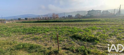 Terreno agrícola em Pineto
