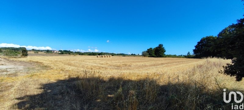 Terreno agrícola en Pitigliano