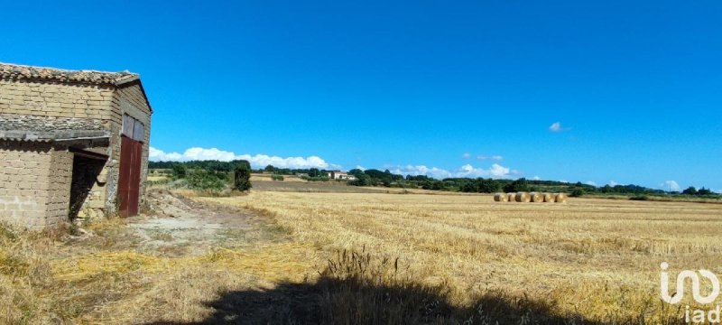Terreno agrícola en Pitigliano