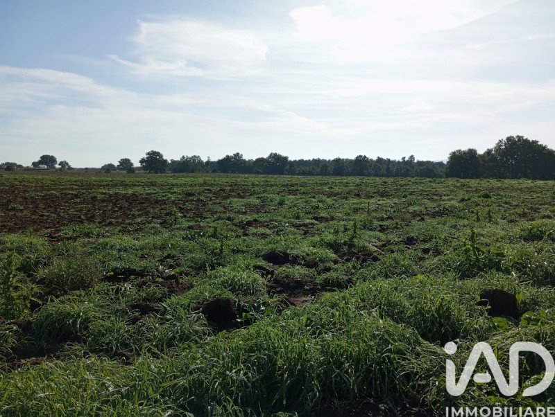 Terreno agricolo a Sorano