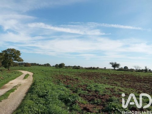 Terreno agricolo a Sorano