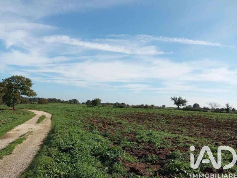 Terreno agricolo a Sorano