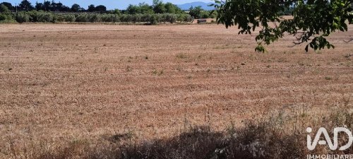 Agricultural land in Sorano