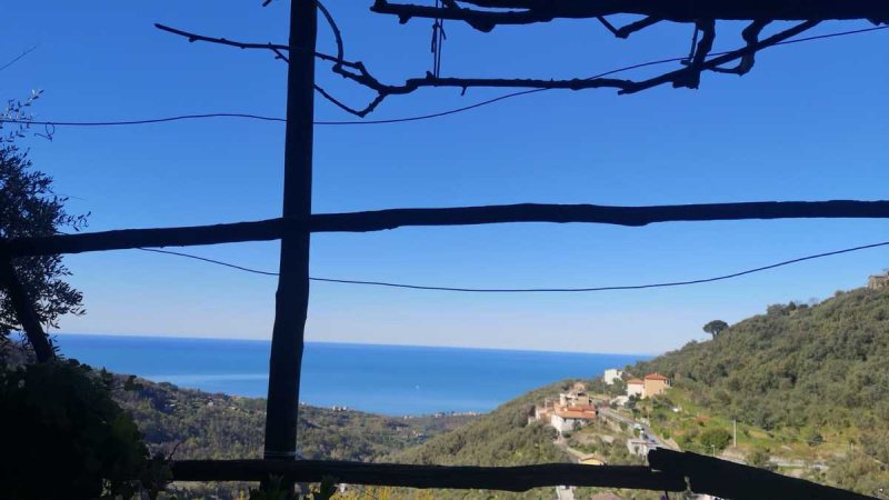 Bouwgrond in Cogorno